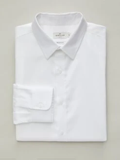 Chemise Regular Fit Pinpoint Homme Non Iron -Cyrillus Boutique 05100 1346 01000 NM FA F1XX