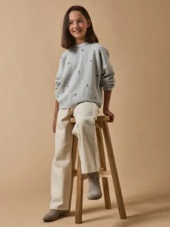 Sweat Brodé Junior - Coton Biologique -Cyrillus Boutique 72033 0544 M005 PO PE F1XX